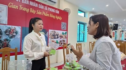 កម្មវិធីមួយផលិតផលមួយឃុំមួយ (OCOP)៖ បើកទិសដៅអភិវឌ្ឍន៍ថ្មីសម្រាប់បាវី