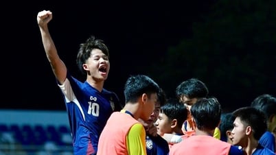 តើឆ្មាមួយណាខាំកណ្តុរ?