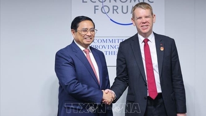 វៀតណាមជាមជ្ឈមណ្ឌលពាណិជ្ជកម្ម និងនវានុវត្តន៍ក្នុងតំបន់អាស៊ីប៉ាស៊ីហ្វិក។