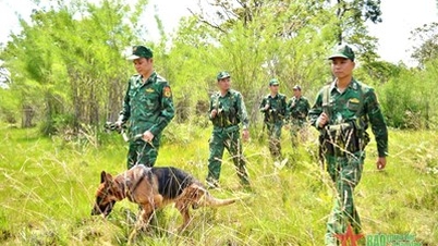 ឆ្មាំព្រំដែនខេត្ត Dak Lak ពង្រឹងការការពារព្រំដែន និងតំបន់ក្នុងឱកាសបុណ្យជាតិ ថ្ងៃទី២ ខែកញ្ញា