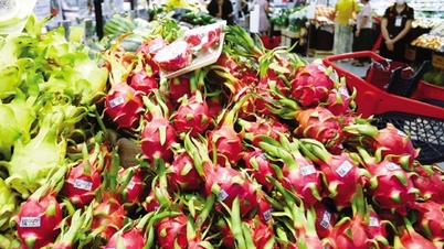 Quỹ đầu tư tìm cách “ăn chắc, mặc bền”