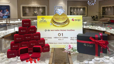 ឱកាសឈ្នះពេជ្រនៅ DOJI និង Diamond World