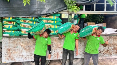 ក្រុមជនជាតិដើមភាគតិច Raglai នៅស្រុក Khanh Vinh បានទទួលការគាំទ្រពី LLC នេះជាមួយនឹងសំណាប និងជី។
