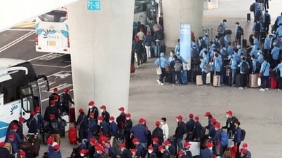 Số lượng người Việt Nam sinh sống ở Hàn Quốc tăng mạnh