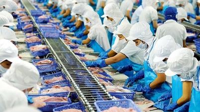 'Nữ hoàng cá tra' lỗ chứng khoán gần 40 tỷ