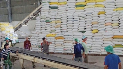 Vietnamese rice prices continue to increase, widening the gap with Thailand and Pakistan