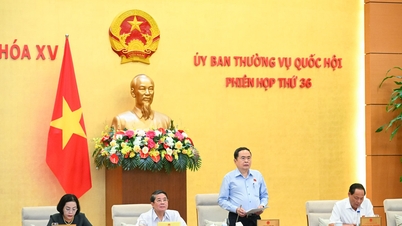 Chuẩn bị kỹ lưỡng để đảm bảo cho Kỳ họp thứ 8 có chất lượng và hiệu quả