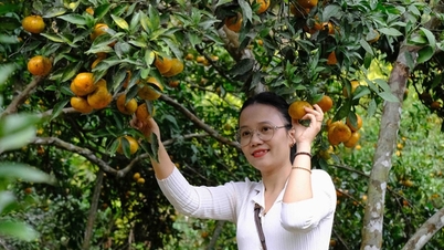 ប្រជាជន​សម្រុក​ទៅ​បុណ្យ​ទឹកក្រូច Van Don