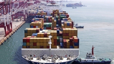Carriers seek short-term gains as Red Sea crisis pushes up rates