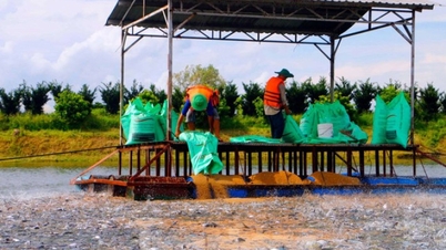 ការ​នាំ​ចេញ​គ្រឿង​សមុទ្រ​របស់​វៀតណាម​ទៅ​ប្រទេស​ផ្សេង​ទៀត​បាន​ធ្លាក់​ចុះ​យ៉ាង​ខ្លាំង ជា​ពិសេស​ទៅ​អាមេរិក។