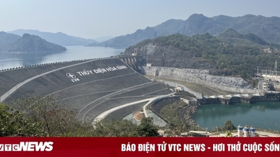 Giám đốc phân tích nguyên nhân