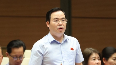 'Xử lý chênh lệch địa tô đang tiềm ẩn nhiều bất công xã hội'