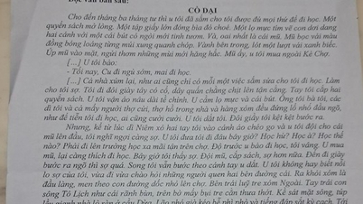 Đừng để học sinh ngợp với ngữ liệu đọc hiểu dài dằng dặc