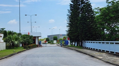 Cắt điện đột ngột, loạt doanh nghiệp đâm đơn kiện