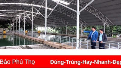 Power outage schedule at water plants in Phu Tho province