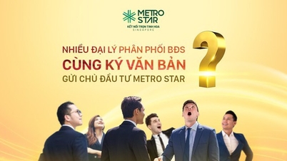 Many real estate distribution companies signed documents sent to Metro Star Investor