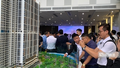 Điều chỉnh giá đất tại Tp.HCM