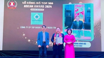Tập đoàn Ngân Tín và Chủ tịch HĐQT Trương Đình Hải được vinh danh tại “ASEAN Award 2024”