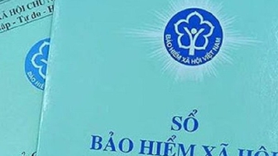 Phụ cấp ca đêm có trích đóng bảo hiểm xã hội?