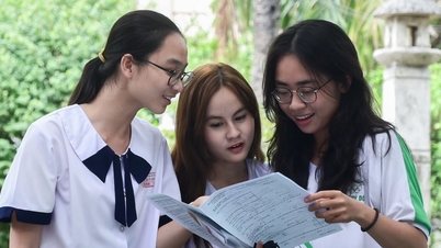សាកលវិទ្យាល័យជាច្រើនទៀតនឹងមិនពិចារណាលើប្រតិចារិកវិទ្យាល័យសម្រាប់ការចូលរៀននៅឆ្នាំ 2025 ទេ។