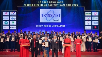 TransViet nhận ‘cú đúp’ giải thưởng năm 2024