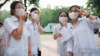 Le score de référence le plus élevé de l'Université de Hai Phong en 2024 est de 33,5 points