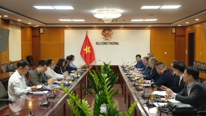 Bộ Công Thương làm việc cùng Hội đồng ngũ cốc Hoa Kỳ về hợp tác phát triển nhiên liệu sinh học