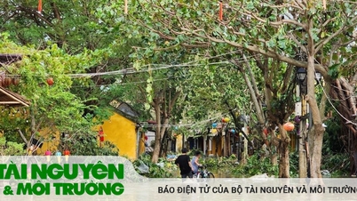 Các tỉnh từ Nghệ An đến Quảng Nam chủ động ứng phó với mưa lũ