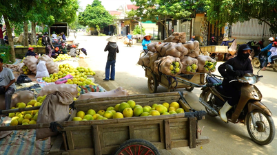 ទីផ្សារពិសេសលក់តែក្រូចថ្លុង