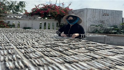 Mùa Tết của làng nghề đặc sản miền Tây