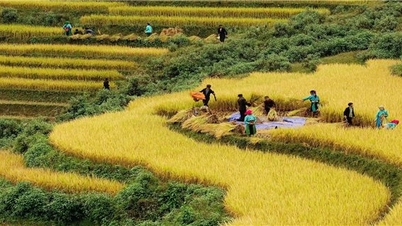 Tiếp tục tập trung hoàn thiện thể chế, cơ chế về công tác dân tộc và chính sách dân tộc