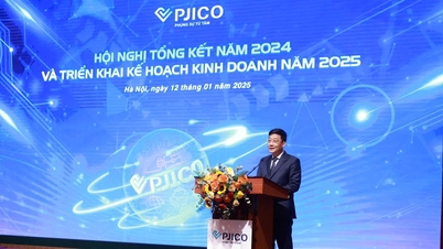 ប្រាក់ចំណូលធានារ៉ាប់រង PJICO នឹងកើនឡើងគួរឱ្យកត់សម្គាល់នៅឆ្នាំ 2024