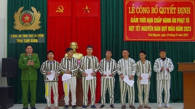 ធានាសិទ្ធិអ្នកទោសនៅវៀតណាម