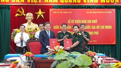 Đào tạo Quản lý nhà nước về công tác cơ yếu