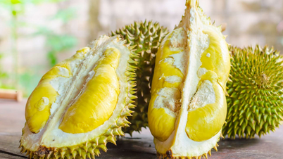 ការនាំចេញផ្លែឈើ និងបន្លែនៅឆ្នាំ 2024 នឹងក្លាយជាជោគជ័យដ៏ធំមួយ