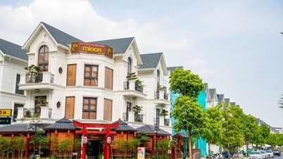 ហេតុអ្វីបានជាហាងនៅ Vinhomes Ocean Park 1 រវល់ម្លេះ?