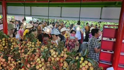 Rủ nhau "săn" đặc sản tại Lễ hội Trái cây Nam Bộ