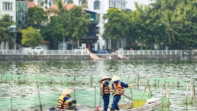 Cá chết nổi trắng mặt hồ Tây, bốc mùi hôi thối
