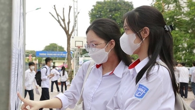 What should candidates do after knowing the 2024 university admission scores?