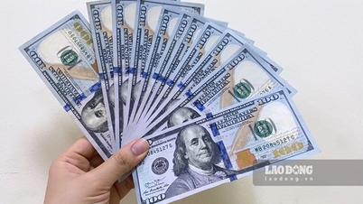 Biến động tỷ giá Yên Nhật, giá USD chợ đen sáng hôm nay 21.5