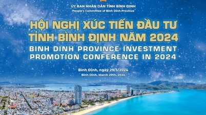 Many world billionaires attend investment promotion conference in Binh Dinh province