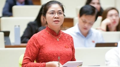 Thiếu hành lang pháp lý quản lý “chung cư mini”