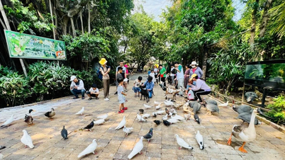ប្រជាជននៅទីក្រុងហូជីមិញកំពុងមមាញឹករីករាយ និងកក់សេវាកម្មមើលកាំជ្រួច។