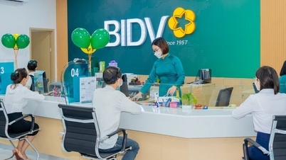 BIDV and Techcombank's profits estimated to decrease in Q3/2023
