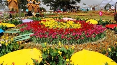 ពិធីបុណ្យផ្កា Da Lat ឆ្នាំ 2024 រំពឹងថានឹងទាក់ទាញភ្ញៀវទេសចរចំនួន 2 លាននាក់