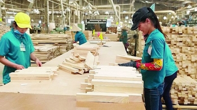 ការ​នាំ​ចេញ​ផលិតផល​ឈើ និង​ព្រៃឈើ​នាំ​មក​នូវ​ទឹក​ប្រាក់ ១២,៥ ពាន់​លាន​ដុល្លារ
