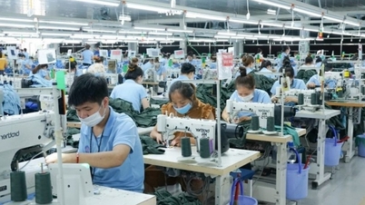 Điểm danh những nhóm sản phẩm xuất khẩu chịu tác động của Thoả thuận Xanh châu Âu
