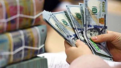 2024년 11월 21일 외환가격: USD가 급등, 3회 연속 하락세 마감