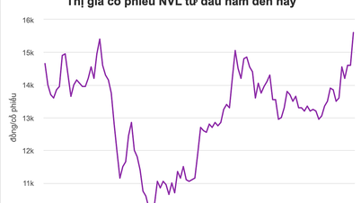 Cổ phiếu Novaland lên cao nhất từ đầu năm