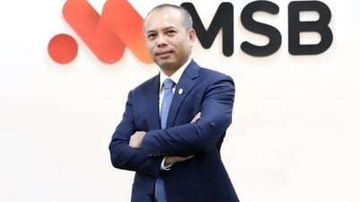 Ông Nguyễn Phi Hùng trở lại làm Phó Tổng GIám đốc MSB
